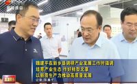 【新乡电视台】魏建平强调培育产业生态 作好转换文章 以新质生产力助力高质量成长